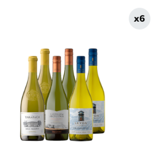 6x Vinos Chardonnay Variedades 750cc
