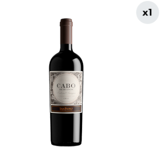 Vino Cabo De Hornos Cabernet Sauvignon 750cc