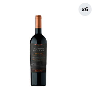 6x Vino Castillo De Molina Tributo Gran Reserva Cabernet Sauvignon 750cc